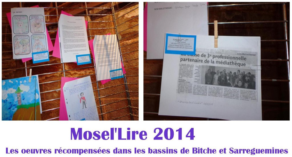 Mosel'Lire 2014 (4)